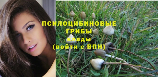 PSILOCYBIN Бронницы