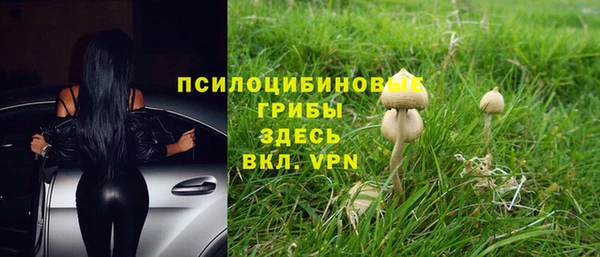 PSILOCYBIN Бронницы